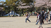 hana26 (258)_thumb.png